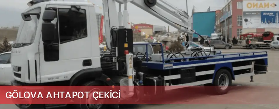 Gölova İlçemi Ahtapot Çekici