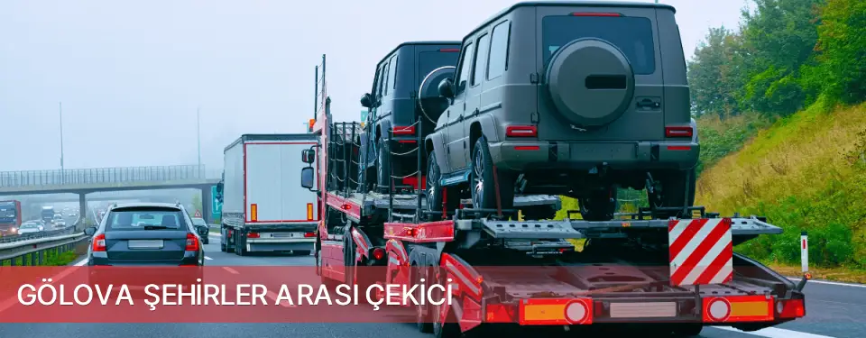 Gölova İlçemi Şehirler Arası Çekici